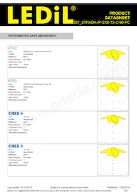 CS16397_STRADA-IP-2X6-T2-C-90-PC Datasheet Page 3