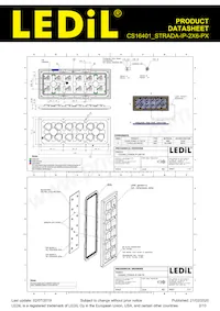 CS16401_STRADA-IP-2X6-PX數據表 頁面 2