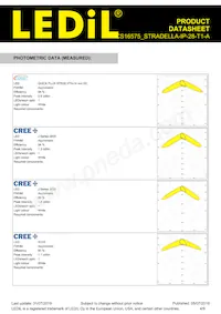 CS16575_STRADELLA-IP-28-T1-A Datasheet Page 4