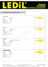 CS16691_STRADELLA-IP-28-SCL-PC Datasheet Page 7