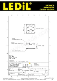 CX11354_LAURA-M Datenblatt Seite 2