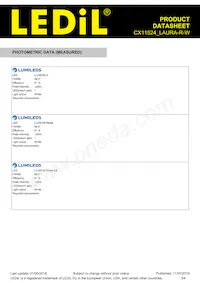 CX11524_LAURA-R-W Datasheet Page 3