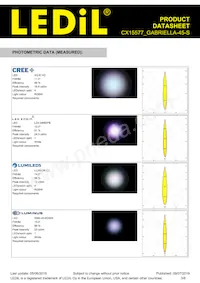 CX15577_GABRIELLA-45-S Datasheet Page 3
