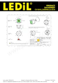 CX15818_GABRIELLA-45-M Datasheet Pagina 2