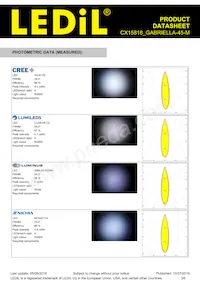 CX15818_GABRIELLA-45-M Datasheet Page 3