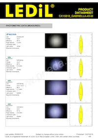 CX15818_GABRIELLA-45-M Datasheet Page 4