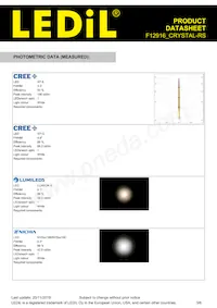 F12916_CRYSTAL-RS Datasheet Pagina 3