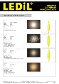 F13325_ANGELINA-S Datasheet Pagina 3