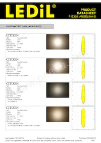 F13325_ANGELINA-S Datasheet Pagina 9