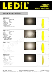 F13325_ANGELINA-S Datasheet Pagina 10