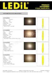 F13325_ANGELINA-S Datasheet Pagina 11