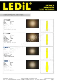 F13325_ANGELINA-S Datasheet Page 12