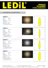 F13325_ANGELINA-S Datasheet Page 13