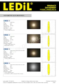 F13325_ANGELINA-S Datasheet Pagina 14