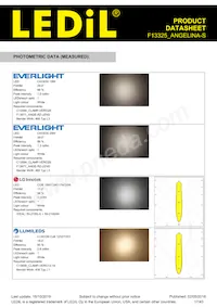 F13325_ANGELINA-S Datasheet Pagina 17