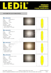 F13325_ANGELINA-S Datasheet Pagina 20