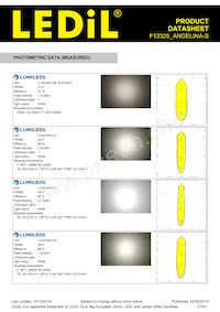 F13325_ANGELINA-S Datasheet Pagina 21