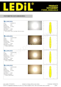 F13325_ANGELINA-S Datasheet Page 22