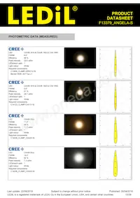 F13379_ANGELA-S Datasheet Page 13