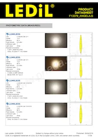 F13379_ANGELA-S Datasheet Page 17