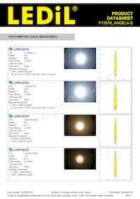 F13379_ANGELA-S Datasheet Page 18