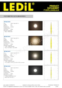 F13379_ANGELA-S Datasheet Page 23