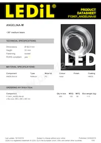 F13401_ANGELINA-M Datasheet Copertura