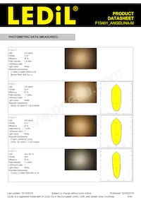 F13401_ANGELINA-M Datasheet Pagina 4