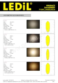 F13401_ANGELINA-M Datasheet Page 5