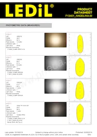 F13401_ANGELINA-M Datasheet Pagina 6