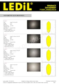 F13401_ANGELINA-M Datasheet Page 7