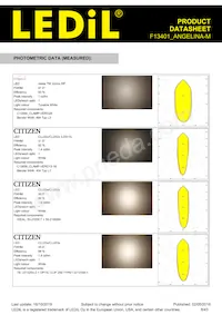 F13401_ANGELINA-M Datasheet Pagina 8