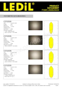 F13401_ANGELINA-M Datasheet Pagina 10