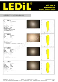 F13401_ANGELINA-M Datasheet Page 11