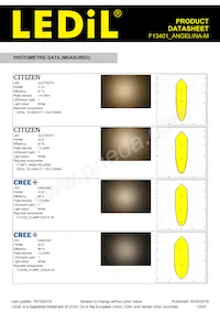 F13401_ANGELINA-M Datasheet Page 12