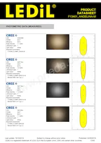 F13401_ANGELINA-M Datasheet Pagina 13