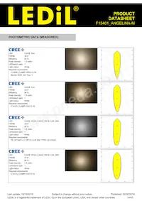 F13401_ANGELINA-M Datasheet Pagina 14