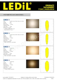 F13401_ANGELINA-M Datasheet Page 15