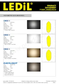 F13401_ANGELINA-M Datasheet Page 16