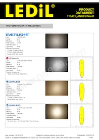 F13401_ANGELINA-M Datasheet Pagina 17