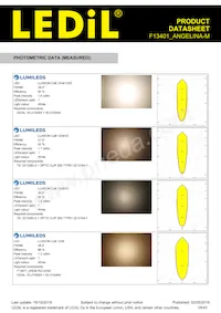 F13401_ANGELINA-M Datasheet Pagina 18