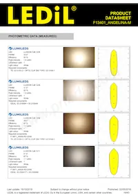 F13401_ANGELINA-M Datasheet Pagina 19