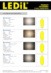 F13401_ANGELINA-M Datasheet Pagina 20