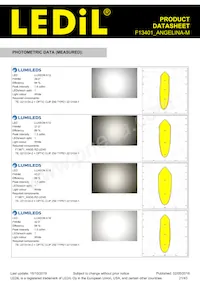 F13401_ANGELINA-M Datasheet Page 21