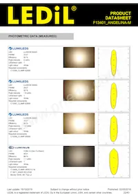 F13401_ANGELINA-M Datasheet Pagina 22