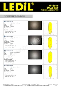 F13401_ANGELINA-M Datasheet Page 23