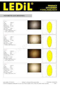 F13402_ANGELINA-W Datasheet Page 5