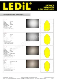 F13402_ANGELINA-W Datasheet Pagina 6