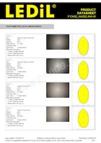 F13402_ANGELINA-W Datasheet Page 7