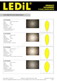 F13402_ANGELINA-W Datasheet Pagina 8